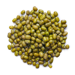 Mong Dal Seeds – Premium Green Gram (Mung Bean) Seeds