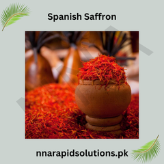 Spanish Saffron 5 Bulbs  High-Quality Crocus for Spice & Blooms