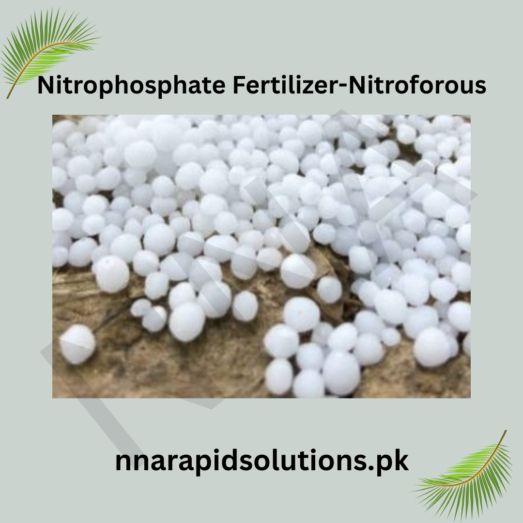 Nitrophosphate Fertilizer-Nitroforous (1 kg) | Phosphorus-Rich Boost for Plant Growth