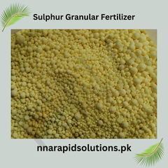 Sulphur Granular Fertilizer (500 gm) | Improve Soil pH & Plant Nutrition