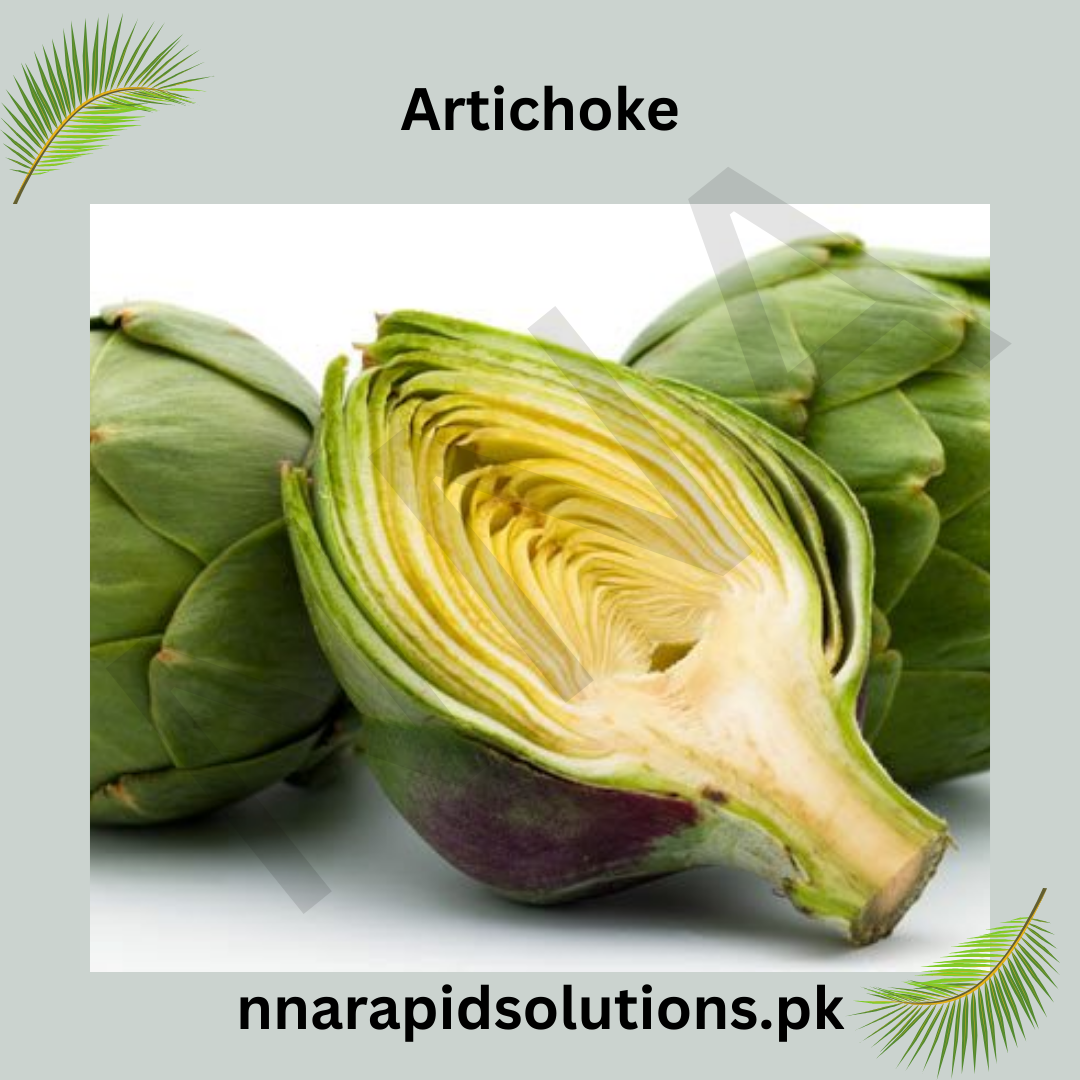 Artichoke Hybrid Seeds in Pakistan  Nutritious Vegetable Seeds for Kitchen & Home Gardens