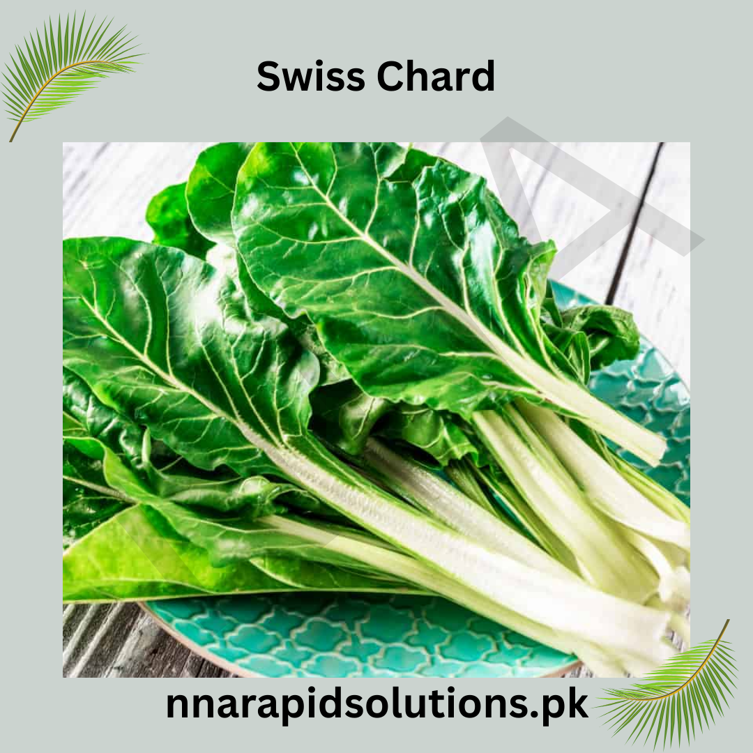 Swiss Chard Hybrid Seeds in Pakistan  Colorful Leafy Vegetable for Healthy Gardening