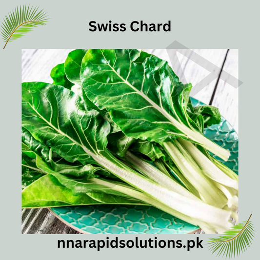 Swiss Chard Hybrid Seeds in Pakistan  Colorful Leafy Vegetable for Healthy Gardening