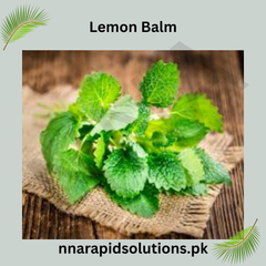 Lemon Balm Hybrid Seeds in Pakistan  Aromatic Herb Seeds for Tea & Healing Gardens