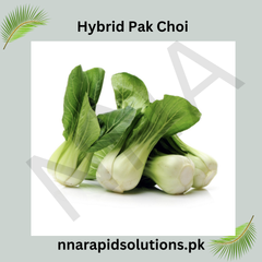 Hybrid Pak Choi Seeds  Fast-Growing Asian Greens for Winter Gardening