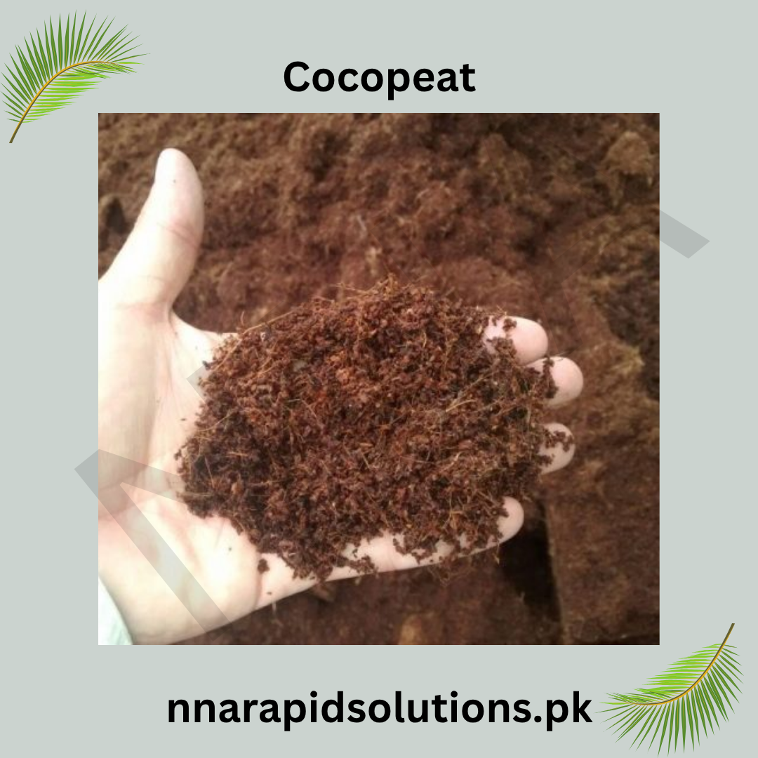 Imported Cocopeat (500 gm)