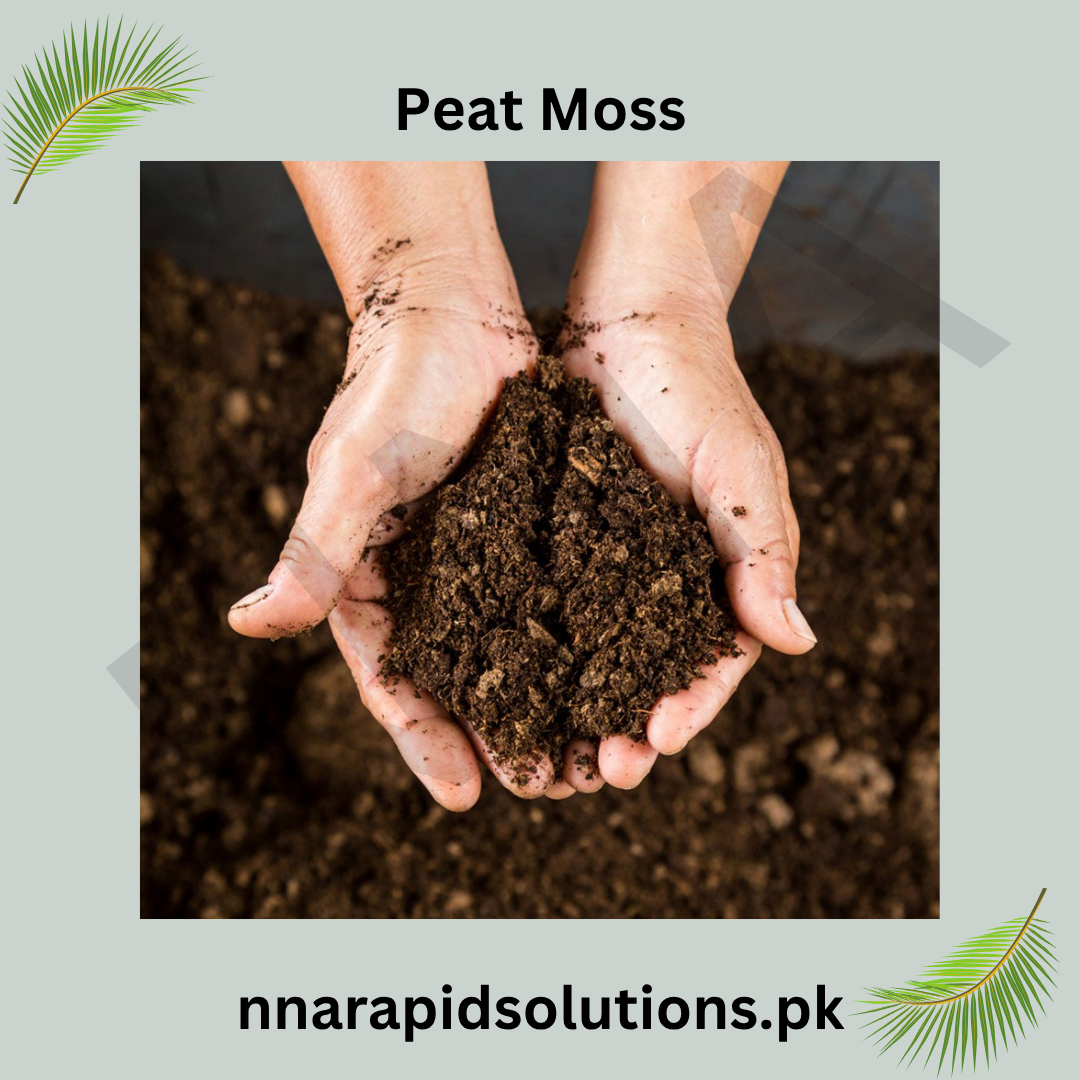 Imported Professional Peat Moss (5 kg)
