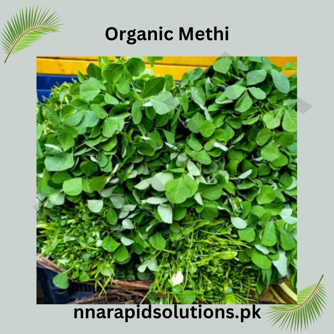 Meethi Seeds Organic  Fenugreek Seeds for Kitchen Gardening in Pakistan
