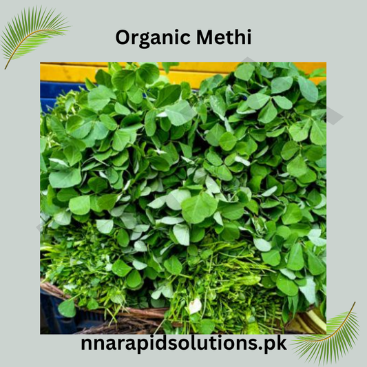 Meethi Seeds Organic  Fenugreek Seeds for Kitchen Gardening in Pakistan