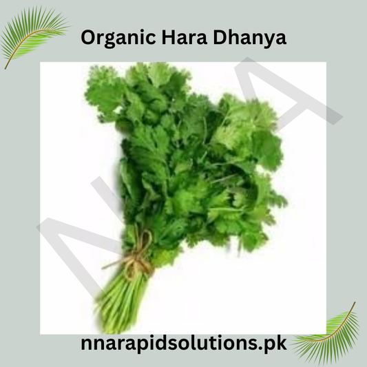 Buy Organic Dhania Seeds (Coriander) Online in Pakistan | Kitchen Garden Herb