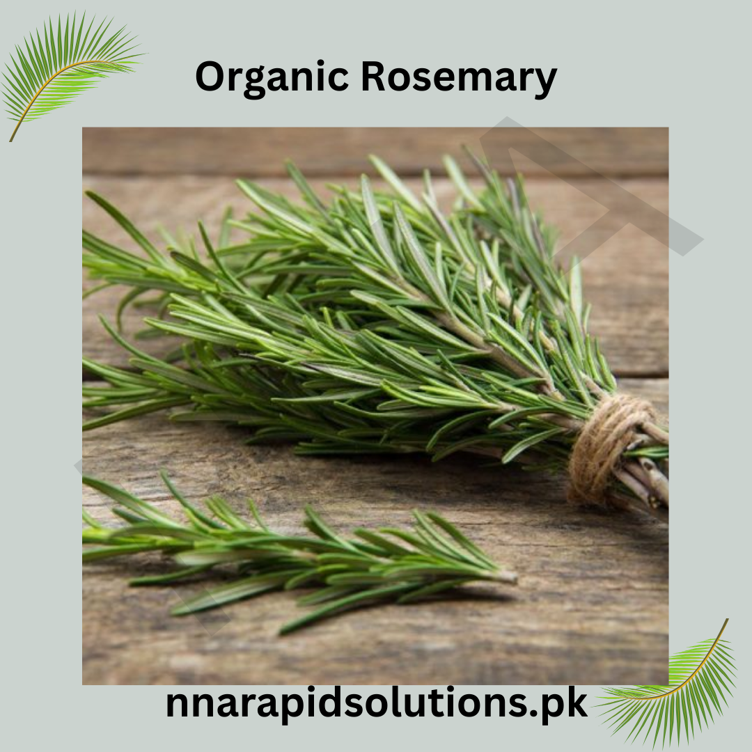 Buy Rosemary Herb Seeds in Pakistan  Culinary & Medicinal Plant