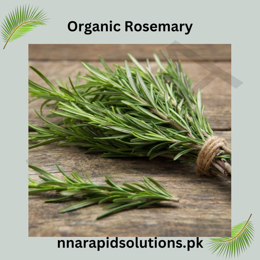 Buy Rosemary Herb Seeds in Pakistan  Culinary & Medicinal Plant
