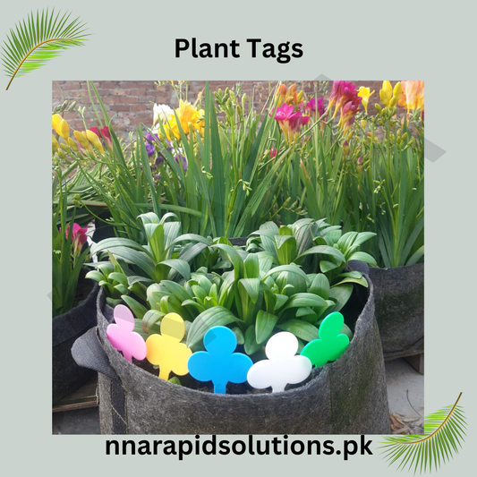 Colourful Plant Tags (Design B)