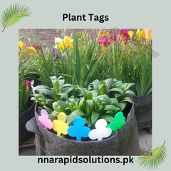 Colourful Plant Tags (Design B)