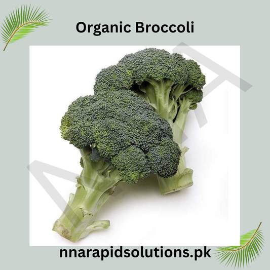 Broccoli Vegetable Seeds | Grow Fresh Organic Broccoli