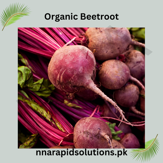 Beetroot Organic Seeds | Non-GMO Chaqandar for Healthy Home Gardening