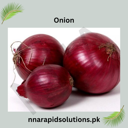 Swat Onion Seedlings  Per Kg | High Quality Onion Plants for Farming in Pakistan