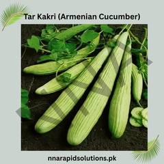 Buy Hybrid Tar Kakri (Armenian Cucumber) Seeds Online in Pakistan | High Yield