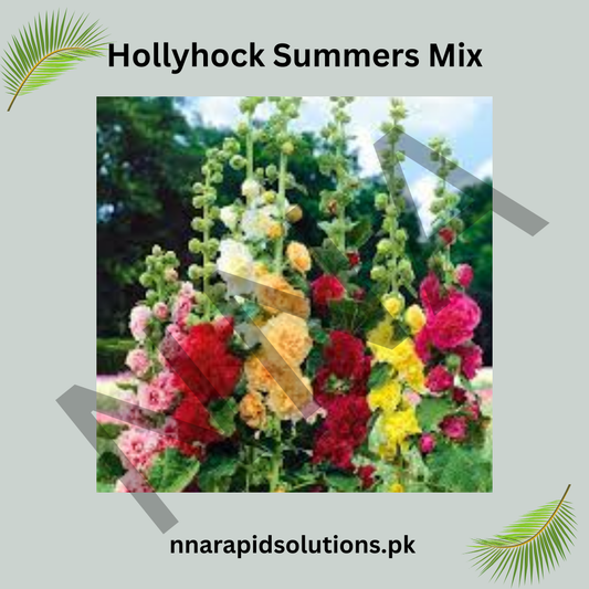 Hollyhock Summers Mix Seeds – Tall Vibrant Summer Flowers
