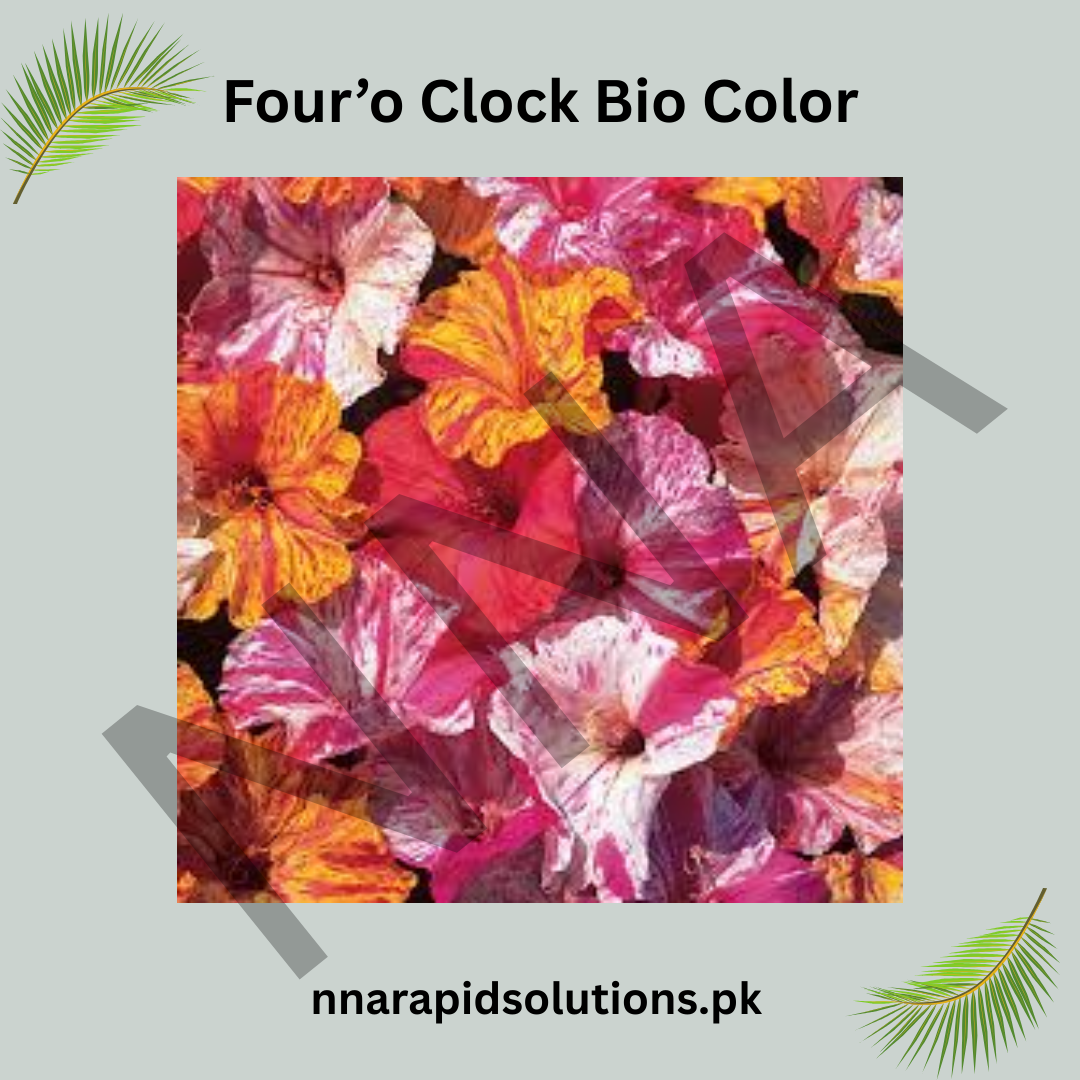 Four’o Clock Bio Color Seeds – Vibrant Night-Blooming Flowers