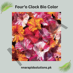 Four’o Clock Bio Color Seeds – Vibrant Night-Blooming Flowers