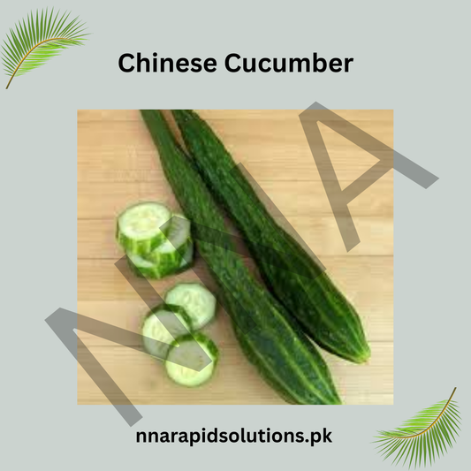 Chinese Cucumber Seeds (Hybrid) – Long & Crisp Summer Cucumber
