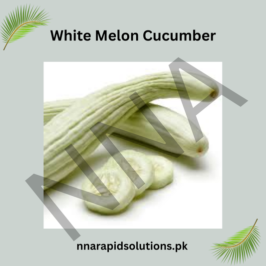White Melon Cucumber Seeds (Hybrid) – Sweet & Refreshing Summer Vegetable