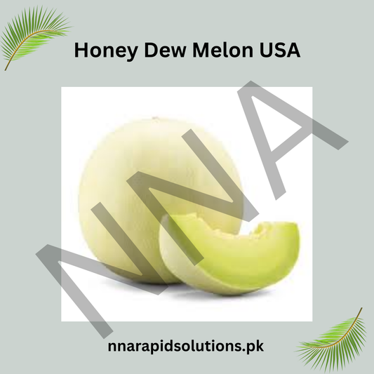 Honey Dew Melon Seeds (Hybrid) – Sweet Summer Melon