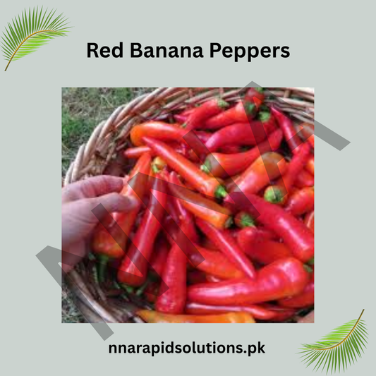 Red Banana Pepper Seeds (Hybrid) – Mild Sweet Chili