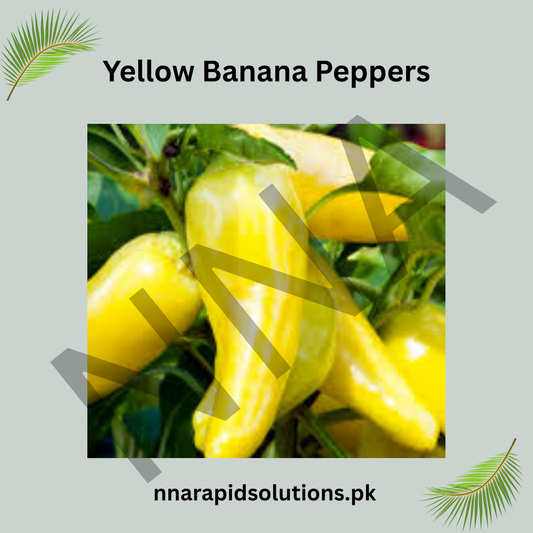 Yellow Banana Pepper Seeds (Hybrid) – Mild Sweet Chili
