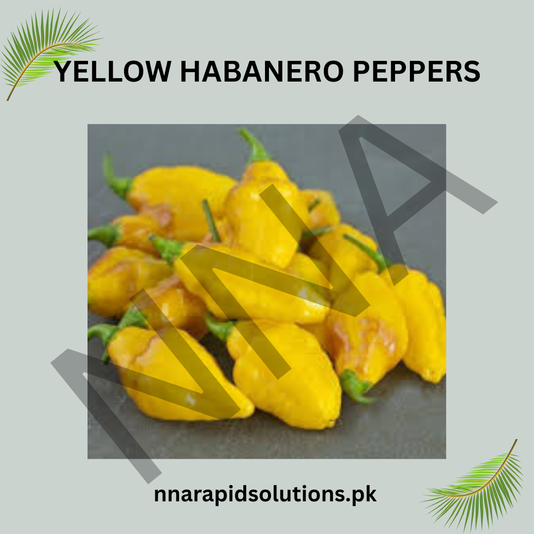 Yellow Habanero Pepper Seeds (Hybrid) – Spicy Hot Chili
