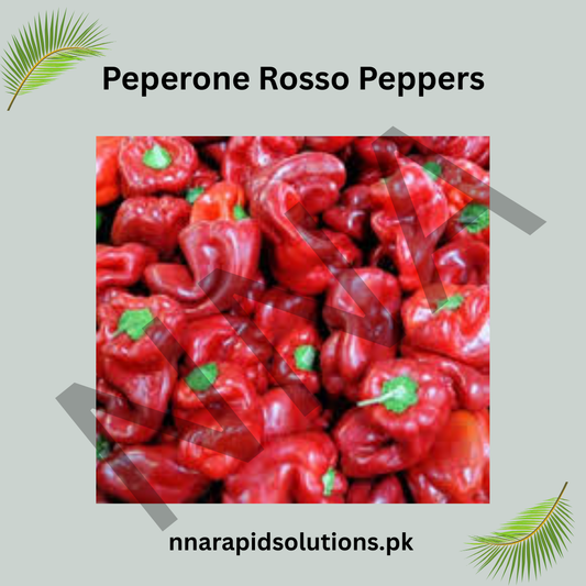 Green Jalapeño Pepper Seeds (Hybrid) – Fresh Spicy Chili