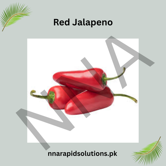 Red Jalapeño Pepper Seeds (Hybrid) – Spicy High-Yield Chili