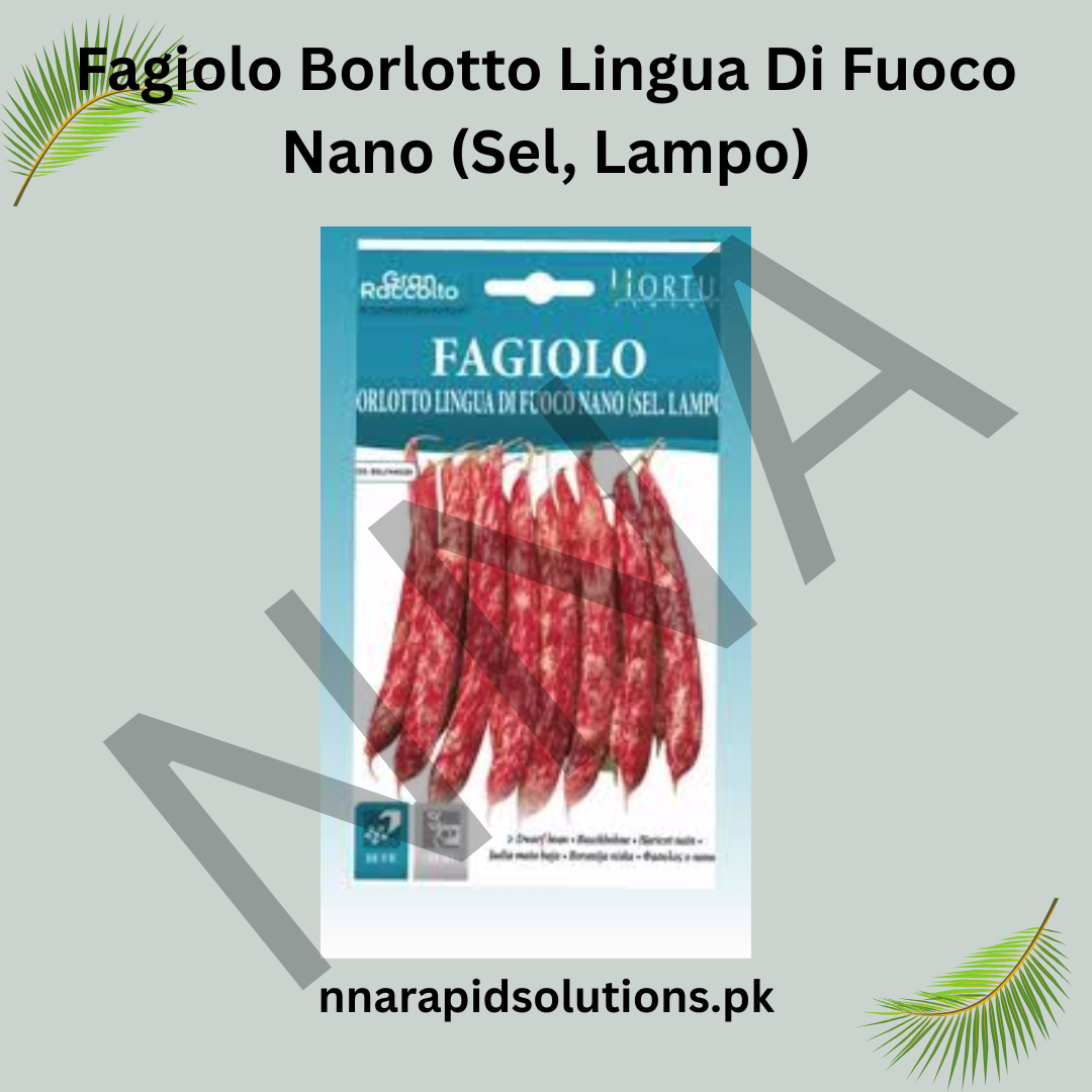Fagiolo Borlotto Lingua di Fuoco Nano Seeds – Italian Bush Bean