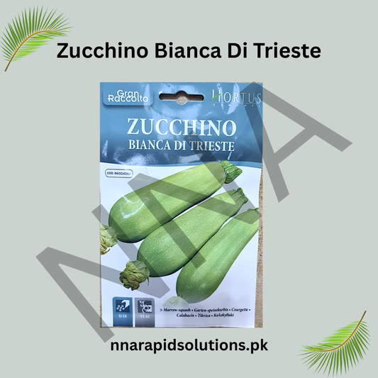 Zucchino Bianca di Trieste Seeds – Italian Zucchini