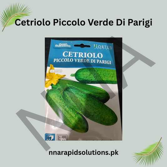 Cetriolo Piccolo Verde di Parigi Seeds – Parisian Pickling Cucumber