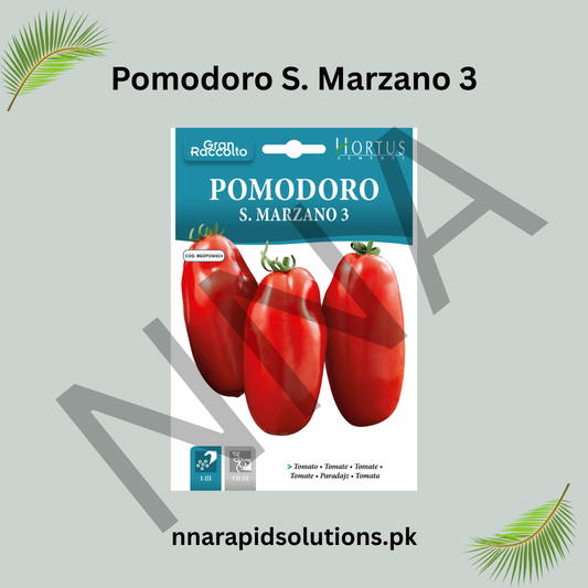Pomodoro San Marzano 3 Seeds – Italian Plum Tomato for Sauces