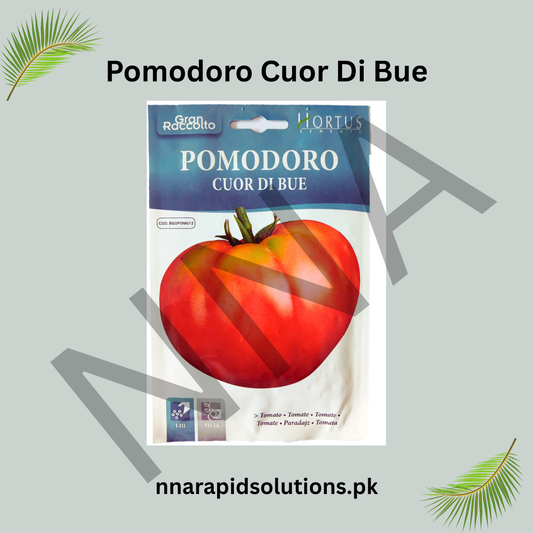 Pomodoro Cuor di Bue Seeds – Italian Oxheart Heirloom Tomato
