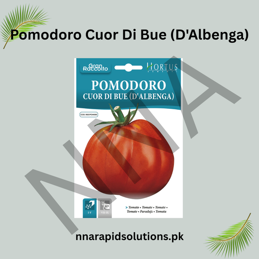 Pomodoro Cuor di Bue (D'Albenga) Seeds – Italian Oxheart Heirloom Tomato